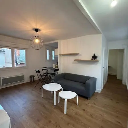 L'agathoise Proche Gare Climatisation Ascenseur * Τουλούζη