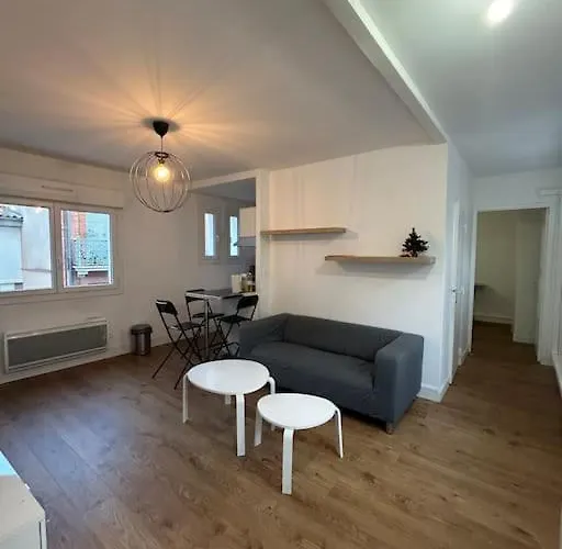 L'agathoise Proche Gare Climatisation Ascenseur * Τουλούζη